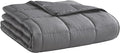 Weighted Blanket (15lbs 60"x80" Queen Size) Cooling Breathable Microfiber Material with Glass Beads Big Heavy Blanket for Adult All-Season Summer Fall Winter Soft Thick Comfort