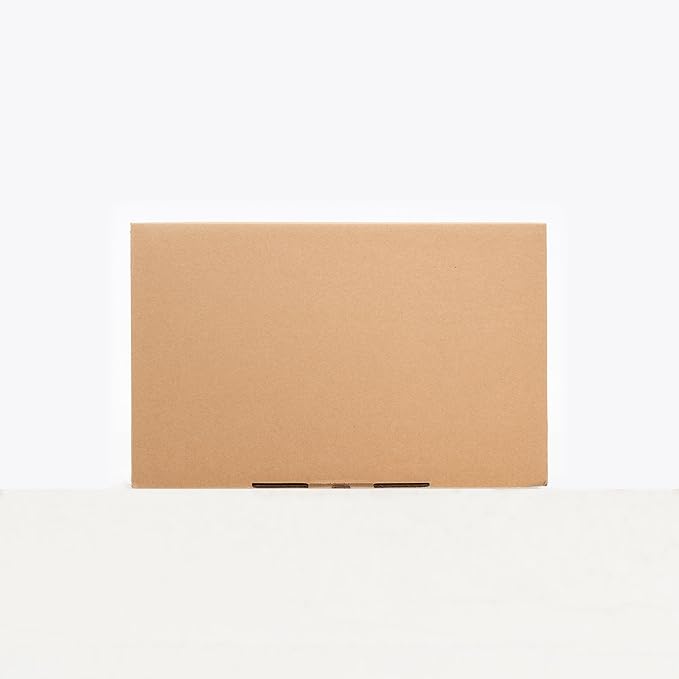 LEVEL8 Carry on Luggage Airline Approved with Spinner Wheels, Lightweight Luminous Textured Travel Bags for Women Men, Tsa Lock Cabin Suitcase, 20 Inch, Pickle Green
