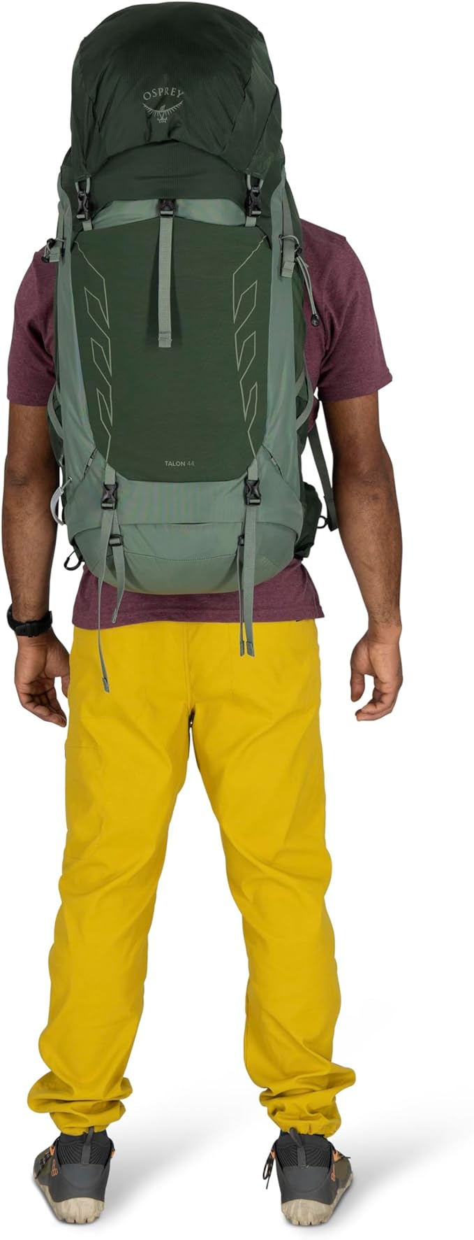 Osprey Talon 44L Men's Lightweight Hiking Backpack with Hipbelt, Green Canopy/Pine Leaf, S/M