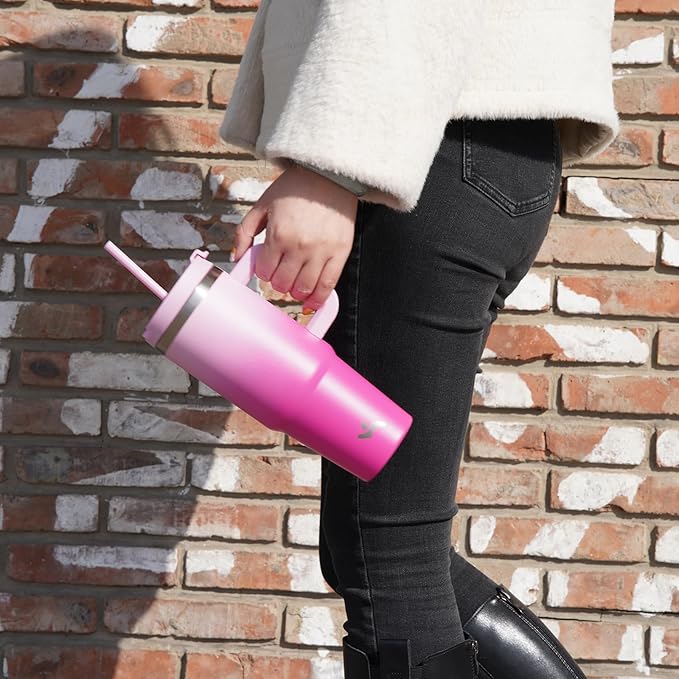 30 oz Tumbler with Handle and 2 Straws,2 in 1 Lid Insulated Water Bottle Stainless Steel Travel Coffee Mug,Sky