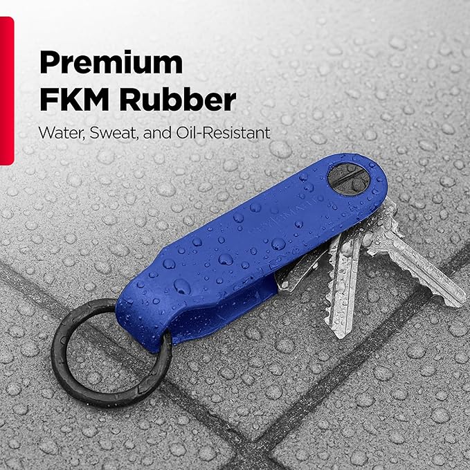 KeySmart Keychain Key Holder - Compact Key Organizer for Key Chain, EDC Key Chains, Key Ring Keychains