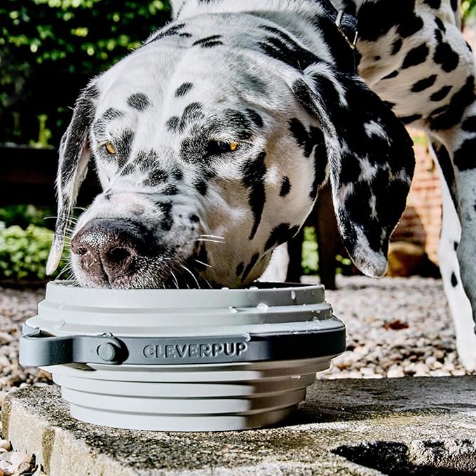 Nomad Large Collapsible Dog Bowl - 4 Cup Food-Safe Silicone Travel Bowl for Dogs, Portable & Sturdy, Food/Water, Dishwasher Safe - Grey
