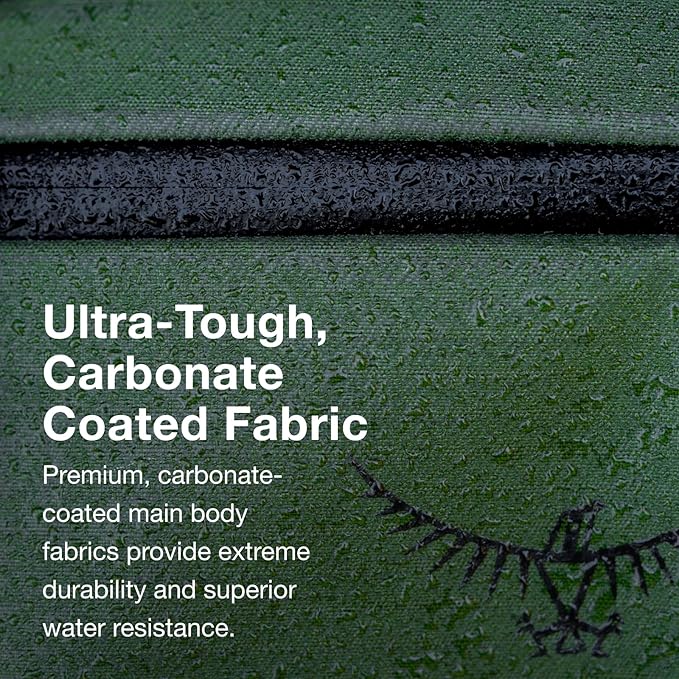 Osprey Archeon 40L Travel Pack, Scenic Valley